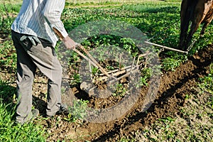 Farmer plowing a land.