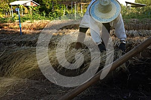 Farmer plowing soil for planting ,