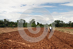 Farmer plows the fields