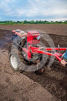 Farmer plows the land with a cultivator, preparing it for planting vegetables