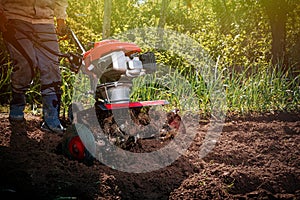 Farmer plows the land with a cultivator, preparing it for planting vegetables, on a sunny day garden