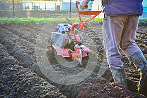 Farmer plows the land with a cultivator, preparing it for planting vegetables, on a sunny day garden