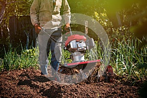Farmer plows the land with a cultivator, preparing it for planting vegetables, on a sunny day garden