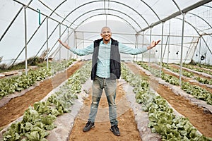 Farmer, portrait or arms up in farming success, greenhouse vegetable harvest or agriculture land growth in