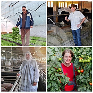 Farmer Portraits Collage