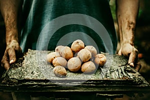 Farmer with potatoes