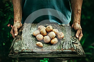 Farmer with potatoes