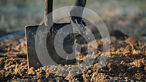 Farmer pour granules of inorganic fertilizer into the soil