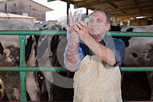 Farmer prepares for artificial insemination of cows