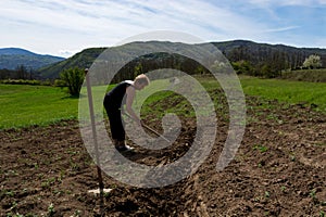 Farmer Preparing Soil for Potato Planting