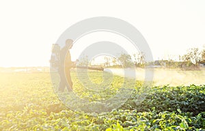Farmer processing a potato plantation with a sprayer to protect from insect pests and fungal diseases. Agriculture