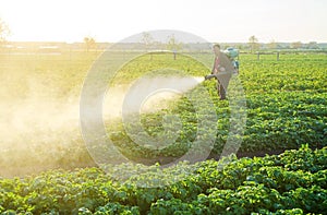 Farmer processing a potato plantation with a sprayer to protect from insect pests and fungal diseases. Reduced crop threat. Plant