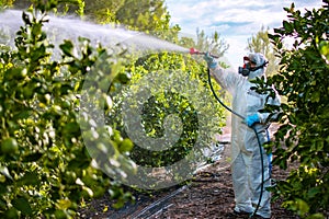 Farmer in protective clothes spray pesticides. Farm worker spray pesticide insecticide on fruit lemon trees. Ecological