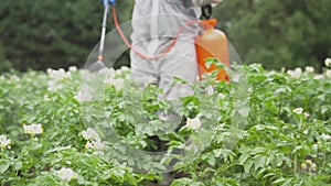 A farmer in a protective suit processes potatoes from the Colorado potato beetle, applications of insecticide fungicide