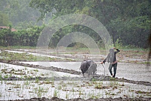 A farmer on a rainy day, Capas