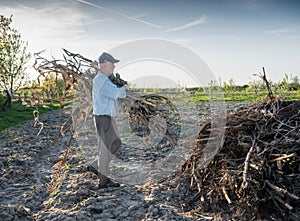 Farmer raking dried branches. Spring time