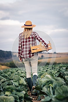 Woman holding crate walking in cabbage field
