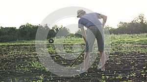 Farmer removes weeds by hoe in corn field with young growth at organick eco farm