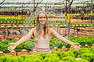 Farmer researching plant in hydroponic salad farm. Agriculture a