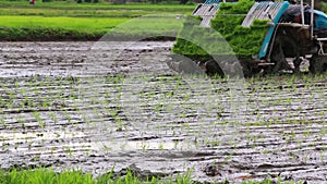 Farmer Riding Transplanter Car Working Plant Rice