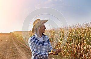 Farmer in ripe corn field