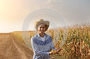 Farmer in ripe corn field