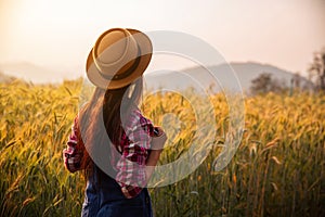 Farmer in ripe wheat field planning harvest activity