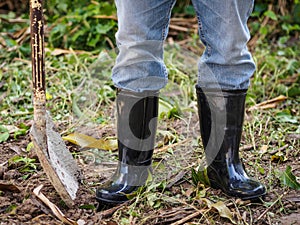 Farmer in rubber boots standing in the field. farm concept.