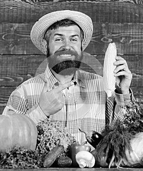 Farmer rustic villager appearance. Grow organic crops. Man cheerful bearded farmer hold corncob or maize wooden