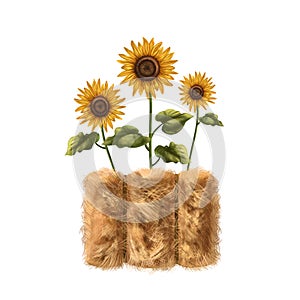 A farmer\'s composition of a stack of fluffy golden hay and colorful sunflowers. For postcards, textiles, booklets, banners,