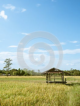 The farmer's cottage