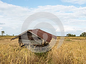 The farmer's cottage