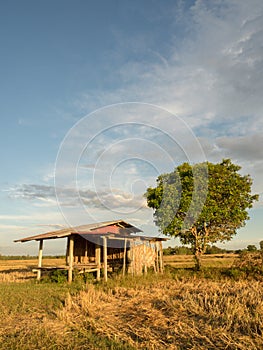 The farmer's cottage