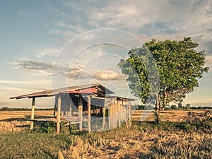 The farmer's cottage