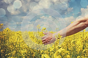 Farmer's hand over field