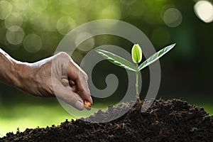 Farmer`s hand planting seeds in soil on nature