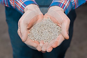 Farmer\'s hands close-up holding feed, food for birds and chickens. Household compound