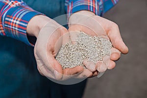 Farmer\'s hands close-up holding feed, food for birds and chickens. Household compound
