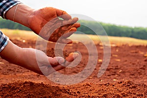 Farmer's hands holding the soil, revealing a profound connection to the land he tend