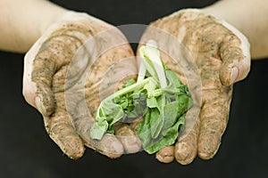 Agricoltori mani verdura 