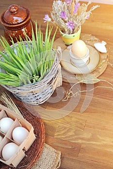Farmer`s hen egg and fresh grass in sunny day