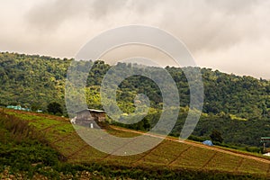 Farmer`s hut on the hill with fog over the hill background