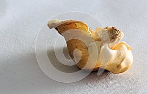 Farmer`s Market exotic mushrooms on white canvas in winter season