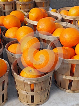 Farmer's Market Oranges