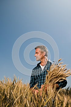 Farmer satisfaction at the harvest