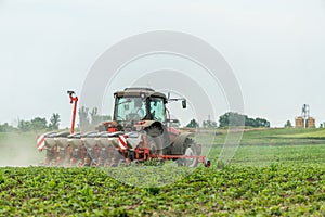 Farmer seeding, sowing crops at field