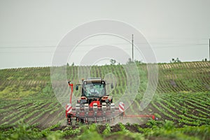 Farmer seeding, sowing crops at field