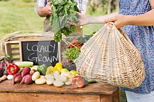 Farmer selling his organic produce