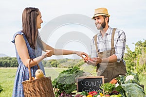 Farmer selling his organic produce photo