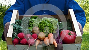 Farmer selling his organic produce on a sunny day. Farmer giving box of veg to customer on a sunny day. Man buying vegetables at f